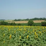 Oakwood Hideaway *