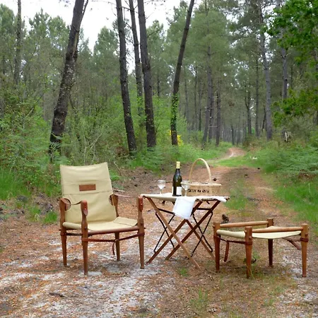Дом отдыха Oakwood Hideaway *