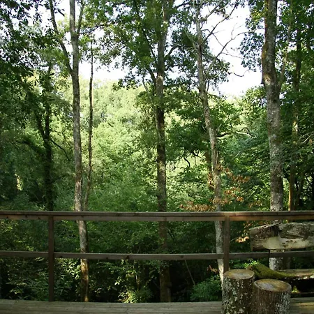 Oakwood Hideaway Sos