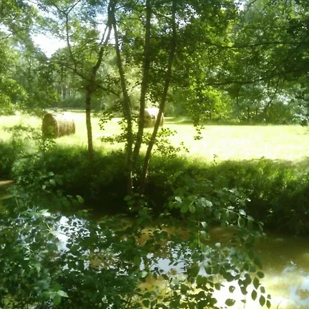 Oakwood Hideaway * Sos