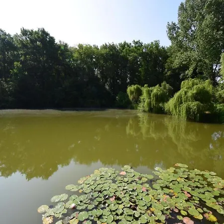 Σπίτι διακοπών Oakwood Hideaway