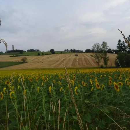 Σπίτι διακοπών Oakwood Hideaway *