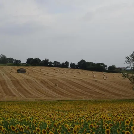 Oakwood Hideaway Casa vacanze Sos