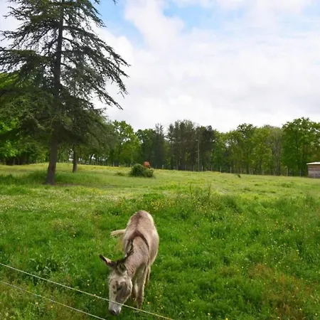 Oakwood Hideaway Sos