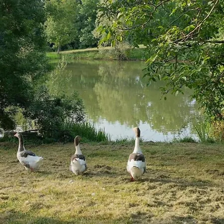 Oakwood Hideaway * Sos