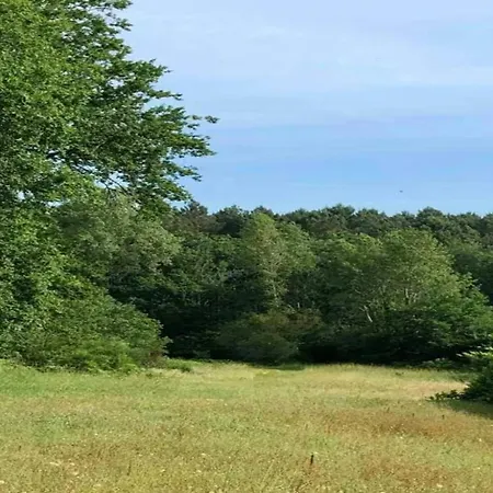 Oakwood Hideaway Casa vacanze