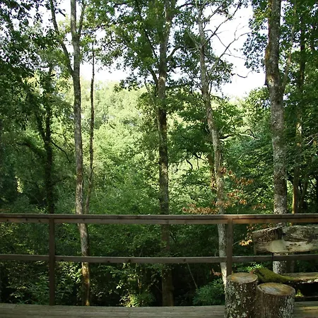 Oakwood Hideaway * Sos