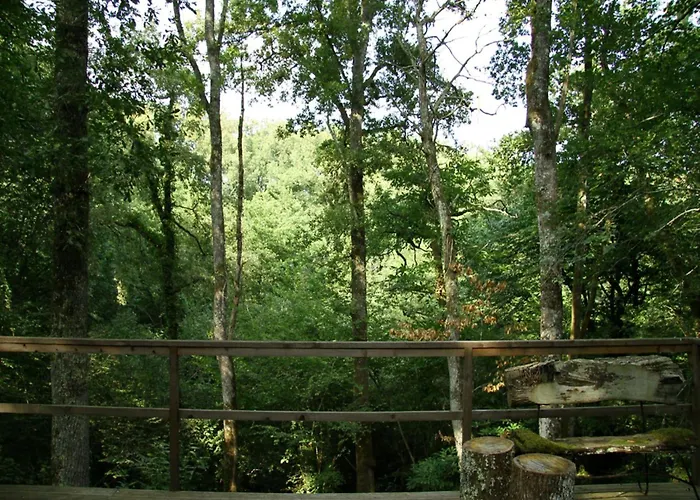 Oakwood Hideaway 索