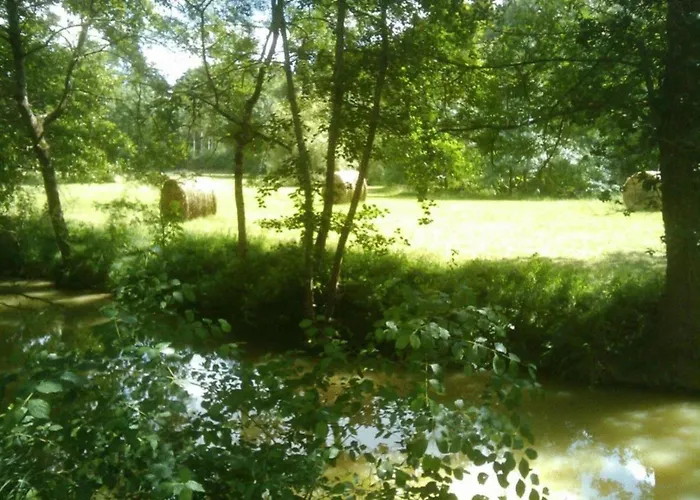 Oakwood Hideaway * 索