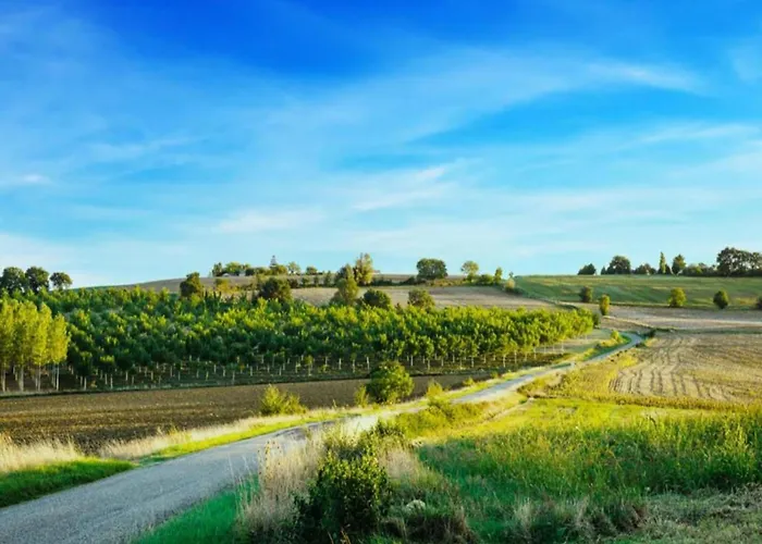 度假居 Oakwood Hideaway *