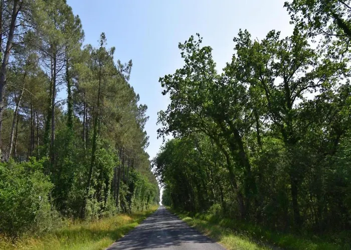 Oakwood Hideaway 度假居 *