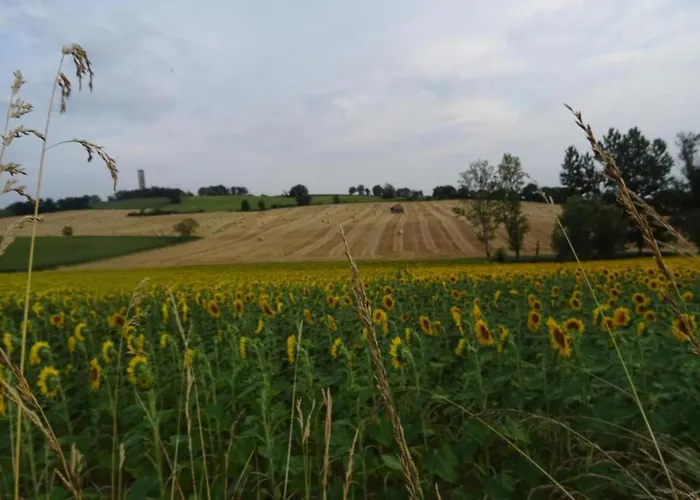 度假居 Oakwood Hideaway *