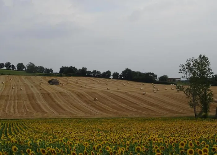 Oakwood Hideaway 度假居 索