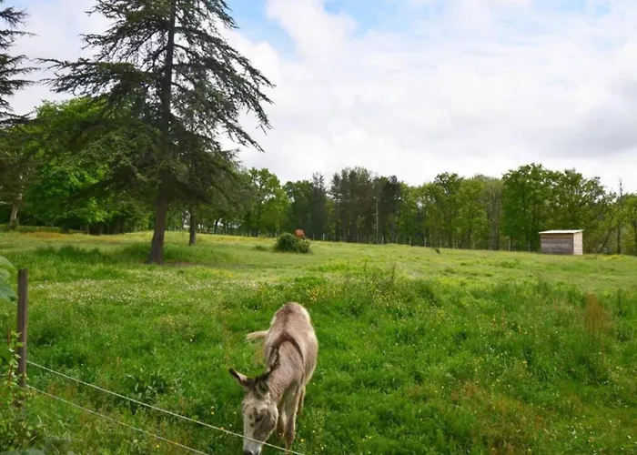 Oakwood Hideaway 索