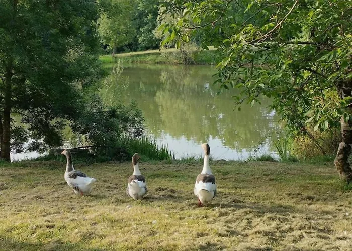 Oakwood Hideaway * 索