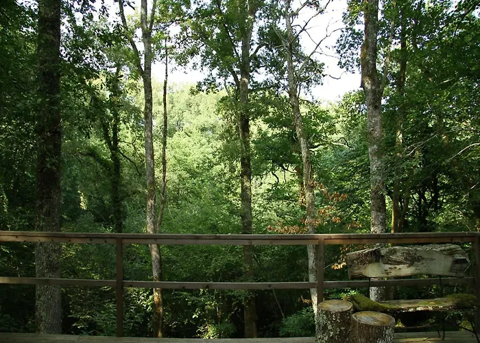 Oakwood Hideaway * 索